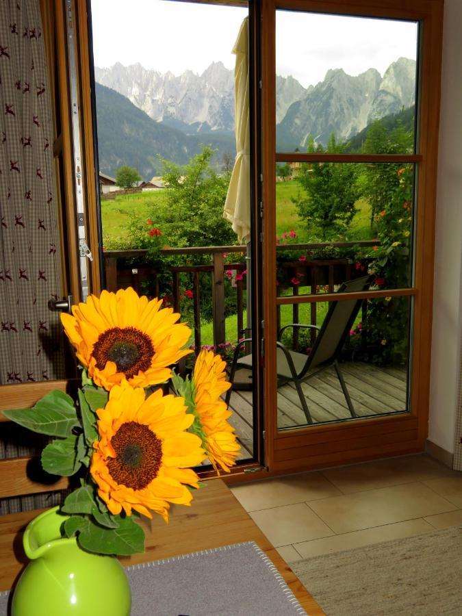 Appartements Gosaukamm.Com 외부 사진