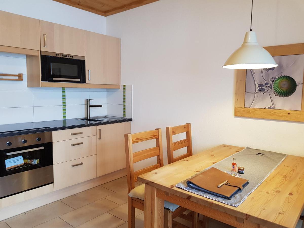 Appartements Gosaukamm.Com 외부 사진